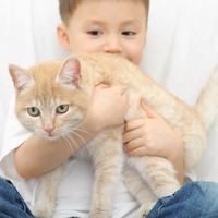 猫のストーカーになっていませんか？猫が嫌がる3つのNG行為とは