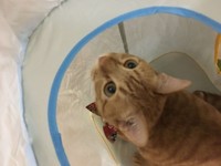 楽しいおもちゃをありがとう