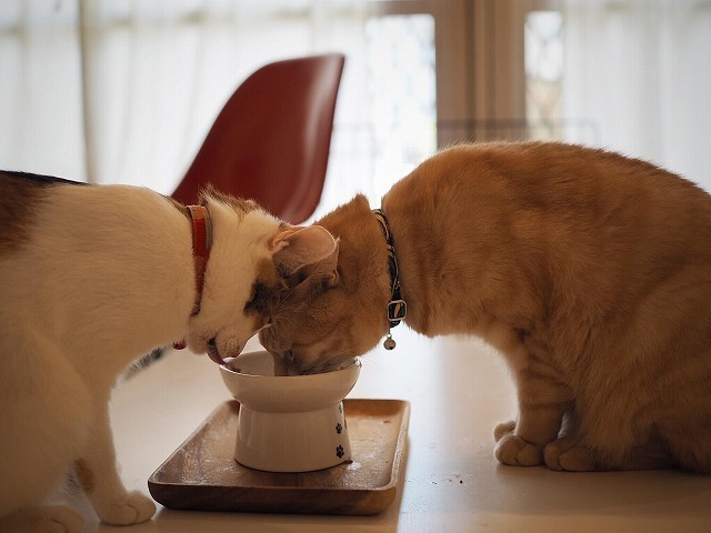 5歳の誕生日に...