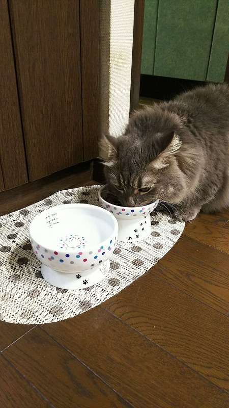 美味しいにゃん