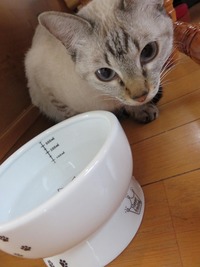 クルミちゃんお水飲む！!