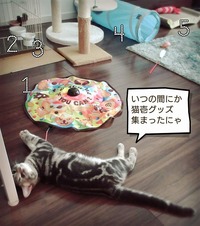 コレクション！？