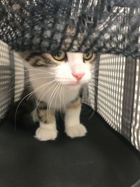 さぁ、おうちに行くよ