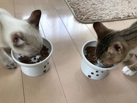 早く仲良くな~~~れ(^-^)