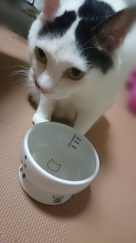 ガブガブ飲むよ～♪