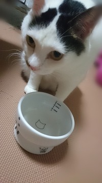 ガブガブ飲むよ～♪