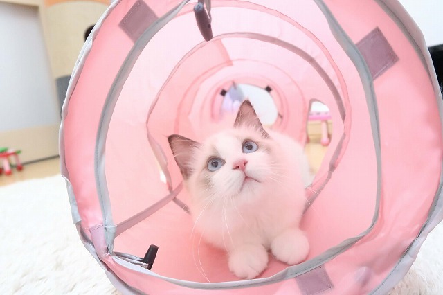 大好きなトンネル