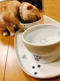 至福のひととき