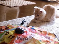 おもちゃに夢中^^