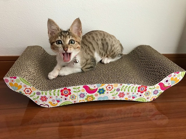 早速リラックス☆