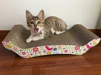 早速リラックス☆