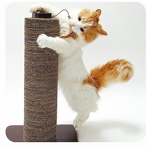 猫の爪とぎ対策【後編】飼い主さんの困った！エピソードと対策方法