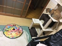 上からハンター