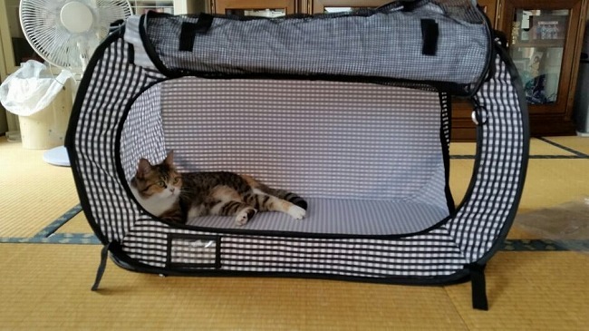 もしもの災害時の為に