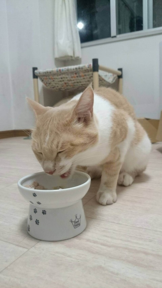 おれのまぐろ(2才の誕生日めし)