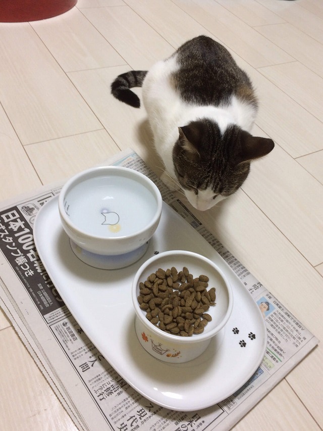 早くたべたいよー😭