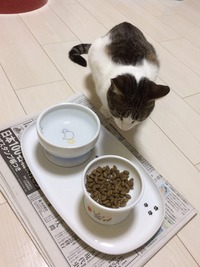 早くたべたいよー😭