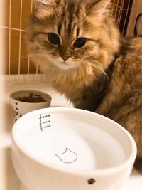 おいしい時間をパパラッチ！？