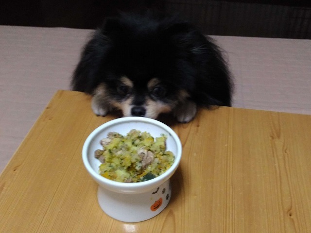 わんこだって猫壱ラヴ