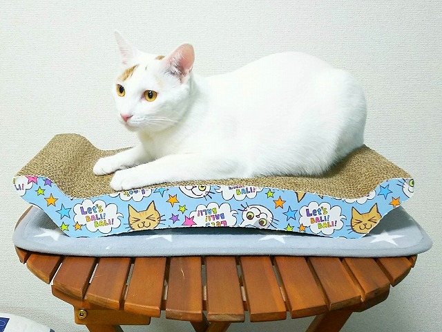 初めてのリッチ爪研ぎ