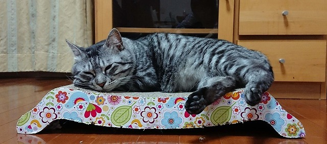 おやすみなさい