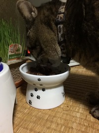 食べやすいにゃあ