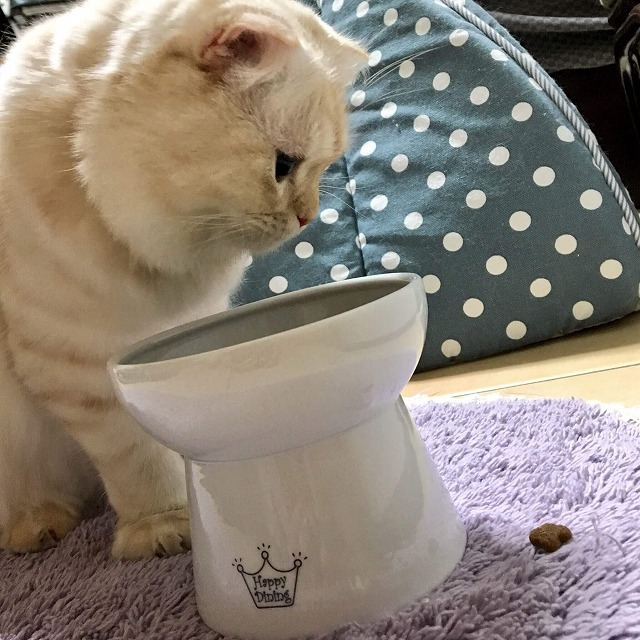 あ、ひと粒落としちゃった！