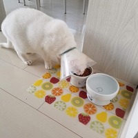 食べる事が出来ました(*≧∇≦)ﾉ