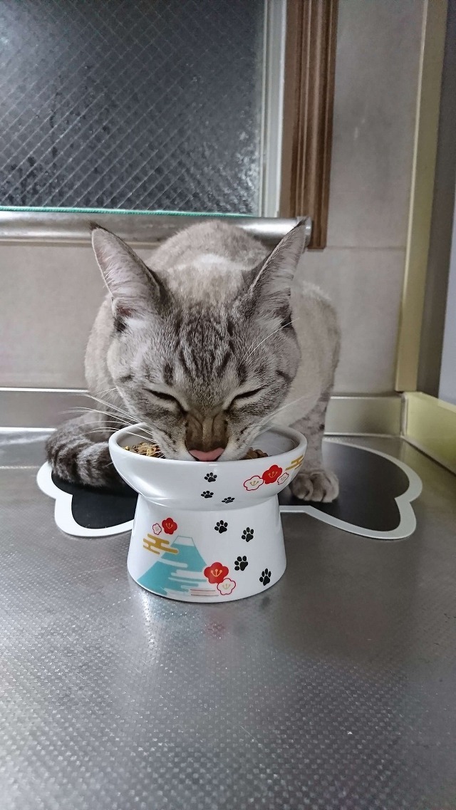 キレイに食べるよ