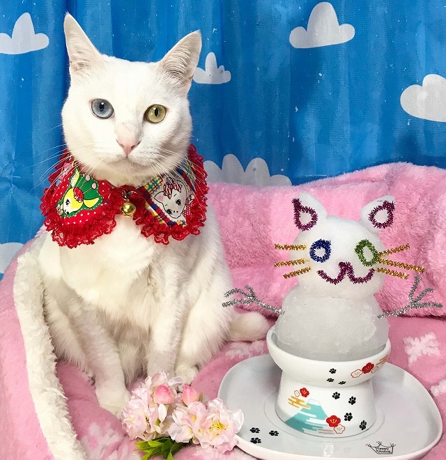 真っ白雪だるまコンビ