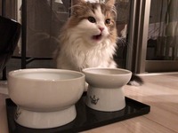 あ～美味しかった