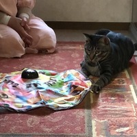 ひとり稽古中！