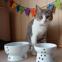 １才の誕生日(５月２０日に誕生日でした)