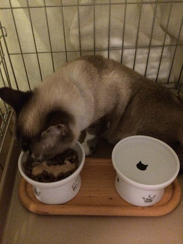 朝ごはんもりもり。