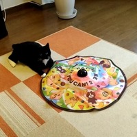 メイちゃんはスローコースでね