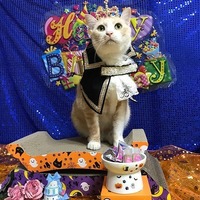 ハッピーバースデーマロン4歳