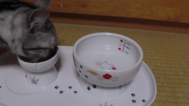 もぐもぐ美味しいな