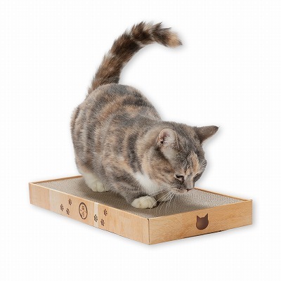 バリバリパッド ワイド<br><p style="font-size:75%;">お掃除簡単、のびのびサイズの箱入りつめとぎ</p>