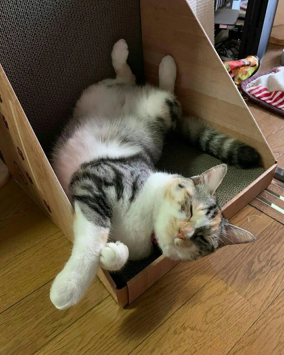 ＜猫壱＞爪とぎ　ダンボール　L字爪とぎ　バリバリボード　ダークブラウン　猫ちゃんモデル１