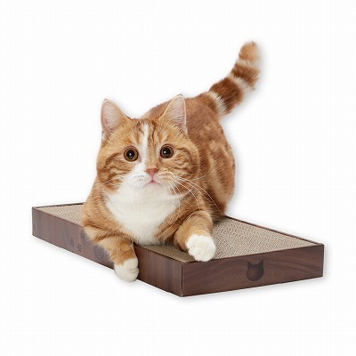 バリバリパッド ワイド ダークブラウン<br><p style="font-size:75%;">お掃除簡単、のびのびサイズの箱入りつめとぎ</p>