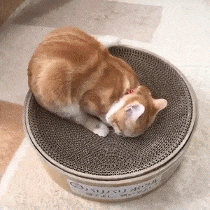 ＜猫壱＞爪とぎ　ダンボール爪とぎ　バリバリボウルXL 猫柄 ダークブラウン　GIFアニメ