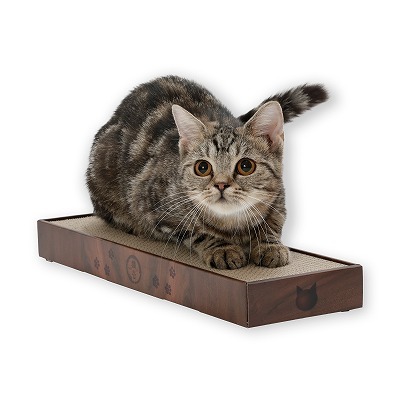 バリバリパッド スリム ダークブラウン<br><p style="font-size:75%;">高密度でダンボールで長持ち！  ケース入りつめとぎ</p>