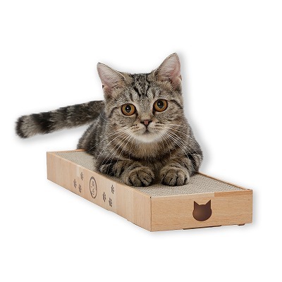 バリバリパッド スリム ライトブラウン<br><p style="font-size:75%;">高密度でダンボールで長持ち！  ケース入りつめとぎ</p>