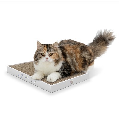 バリバリパッド ワイド ホログラムホワイト<br>Amazon専売