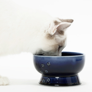 ＜猫壱＞猫用　脚付ウォーターボウル　日本製　ブルー　猫入り