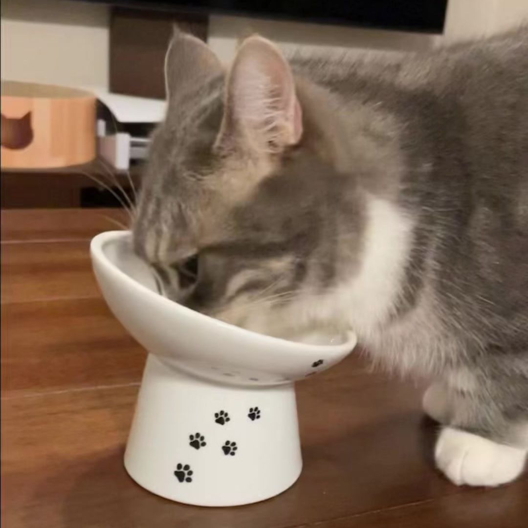 ＜猫壱＞猫用食器　脚付食器　ハッピーダイニング 猫用　脚付にゃにゃめフードボウル　レギュラー　猫柄　猫ちゃん利用図３