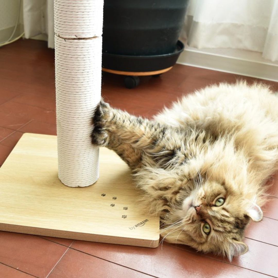 ＜猫壱＞猫用つめとぎ　タテ型つめとぎ　バリバリつめとぎポール ウッドプレミアム レギュラー 紙縄 ライトブラウン 猫ちゃんと一緒2