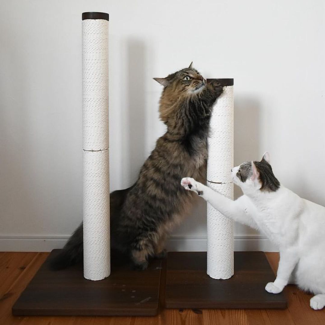 ＜猫壱＞猫用つめとぎ　タテ型つめとぎ　バリバリつめとぎポール ウッドプレミアム レギュラー 紙縄 ライトブラウン 猫ちゃんと一緒4