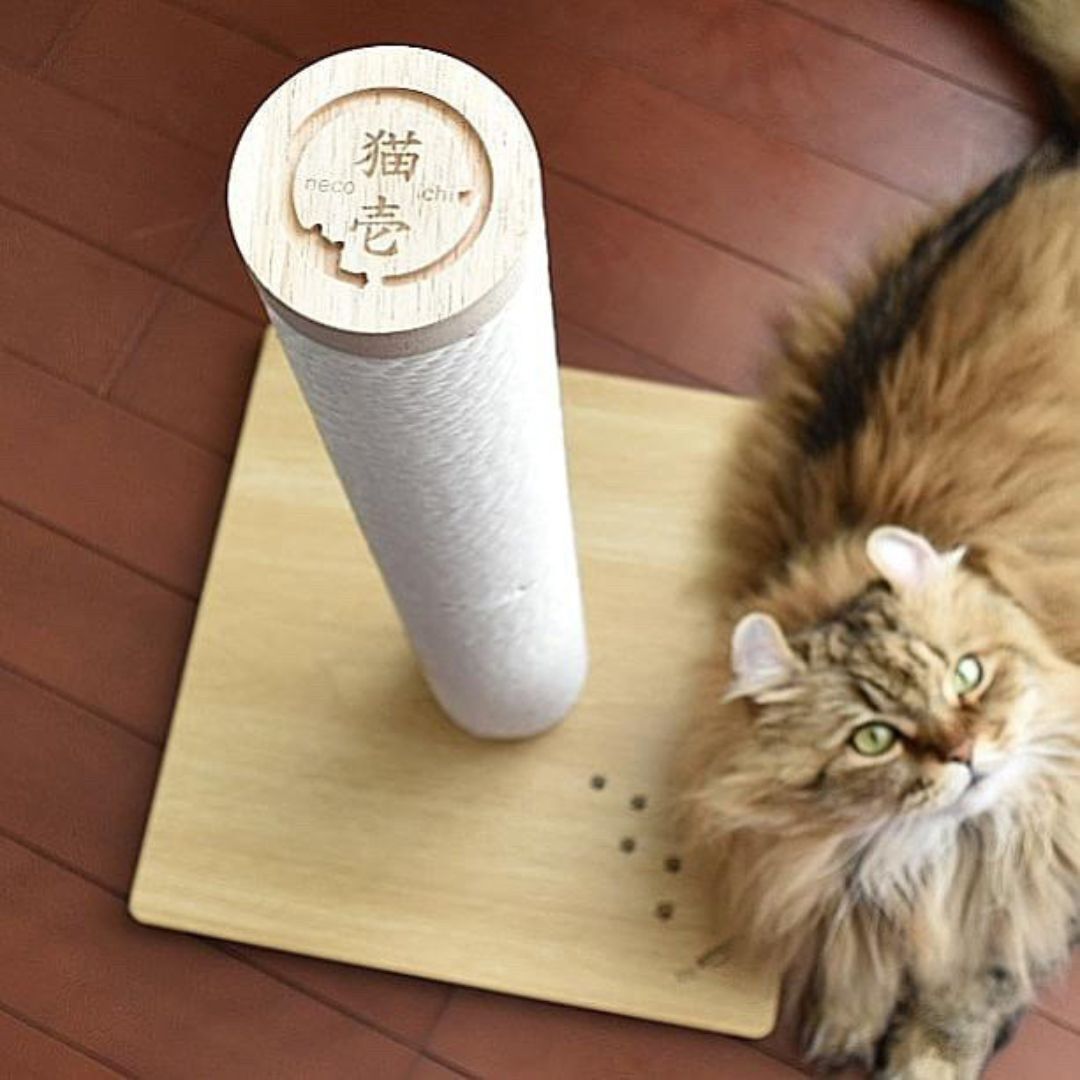 ＜猫壱＞猫用つめとぎ　バリバリつめとぎポール ウッドプレミアム レギュラー 交換用つめとぎ 紙縄 ホワイト　猫ちゃん使用画像2