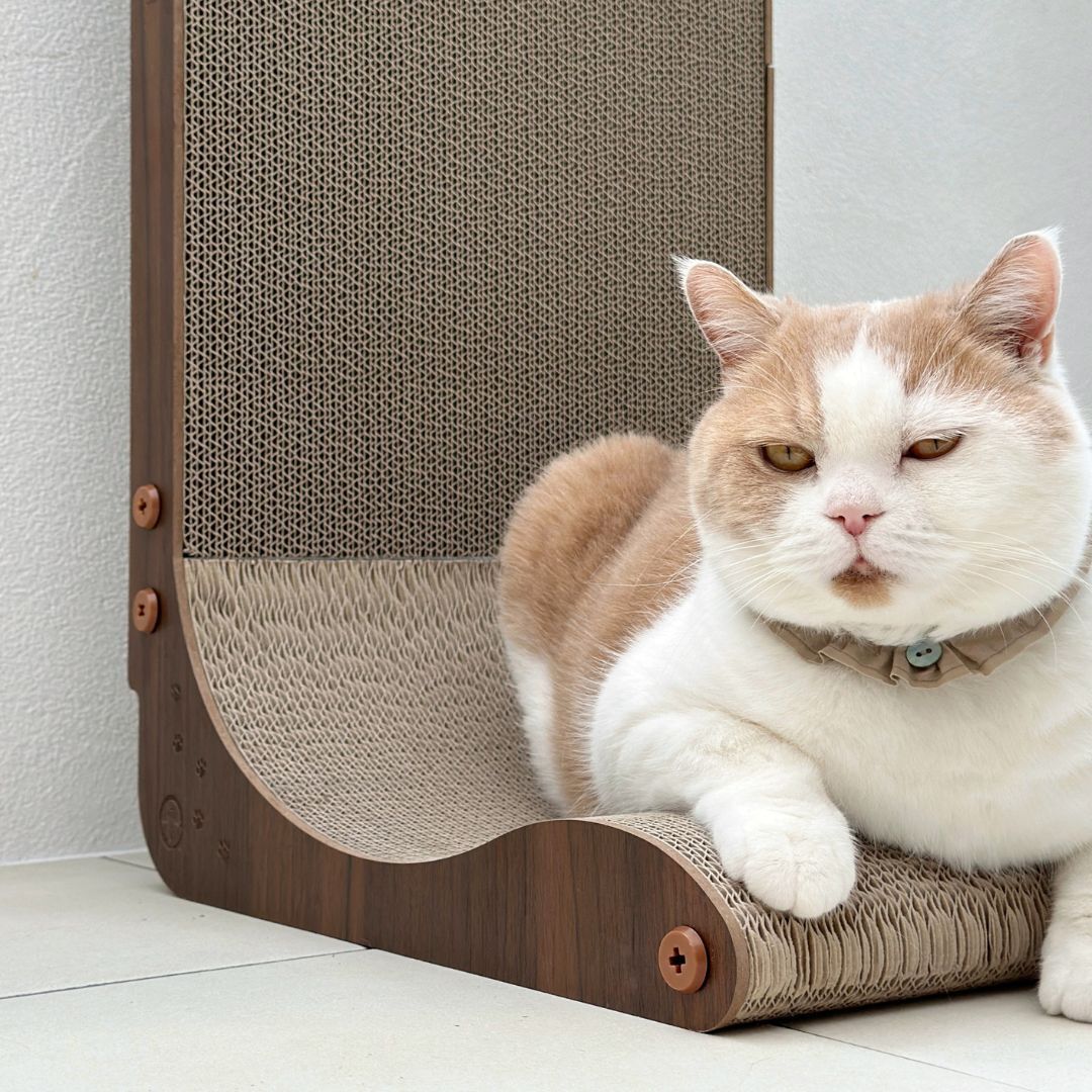 ＜猫壱＞爪とぎ　ダンボール　L字爪とぎ　バリバリボード ウッドプレミアム レギュラー ダークブラウン　猫ちゃん使用画像2